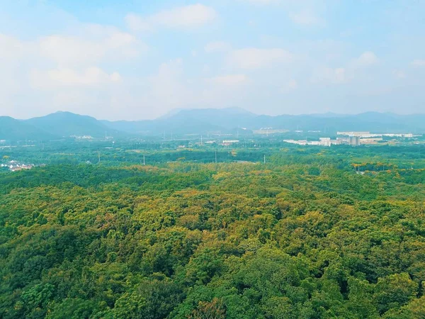 Vista Del Paisaje Montaña — Foto de Stock