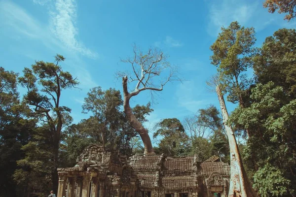 Ruinas Antiguas Ciudad Angkor Pavo — Foto de Stock
