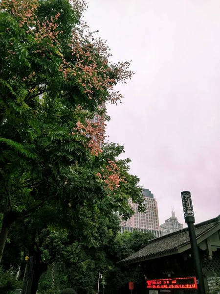 Vista Ciudad Tokyo Japón — Foto de Stock