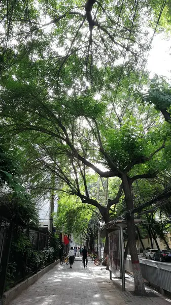 Parque Ciudad Bangkok Tailandia — Foto de Stock