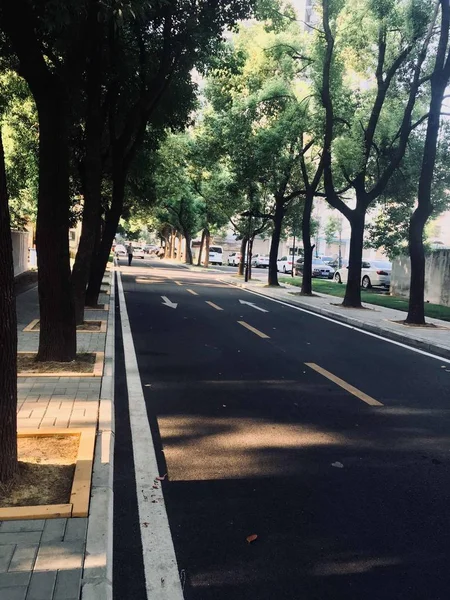 Camino Parque — Foto de Stock