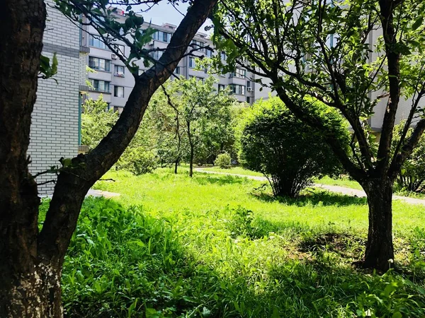 Hermosa Vista Del Parque Ciudad — Foto de Stock