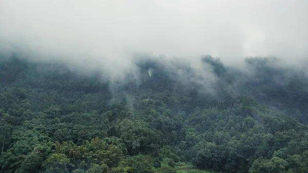 Paisaje Montaña Por Mañana — Foto de Stock