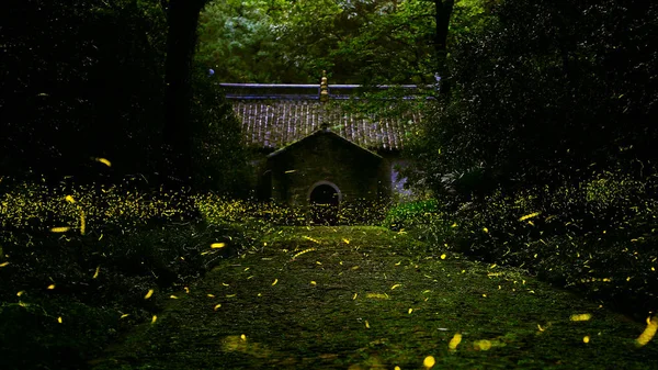 Una Vista Una Hermosa Casa Con Una Linterna — Foto de Stock