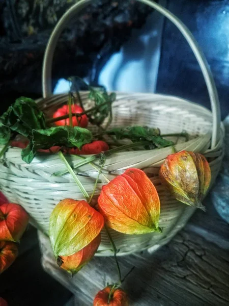 red and orange flowers in a basket on a wooden background