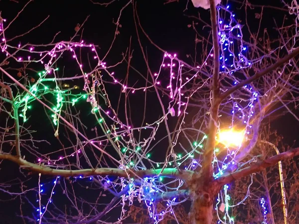 Luces Navidad Fondo Negro — Foto de Stock