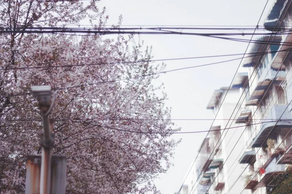 Una Vista Edificio Moderno Invierno — Foto de Stock