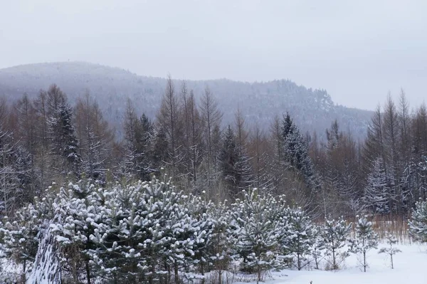 Paisaje Invernal Las Montañas — Foto de Stock