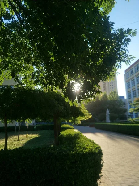 Hermosa Vista Del Parque Ciudad — Foto de Stock