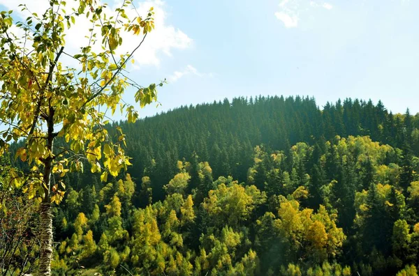 Pintoresca Vista Hermosa Naturaleza — Foto de Stock