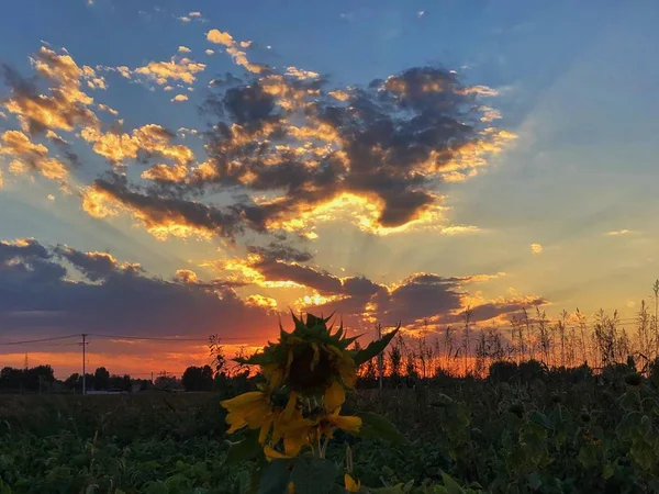 Schöner Sonnenuntergang Über Dem See — Stockfoto