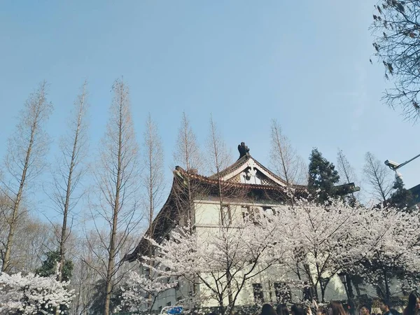 old house in the city of china