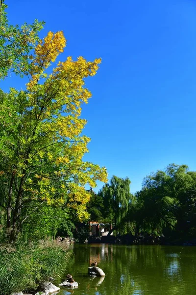 Hermoso Lago Parque — Foto de Stock