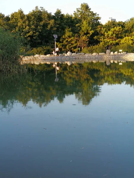 Reflejo Del Lago Parque — Foto de Stock