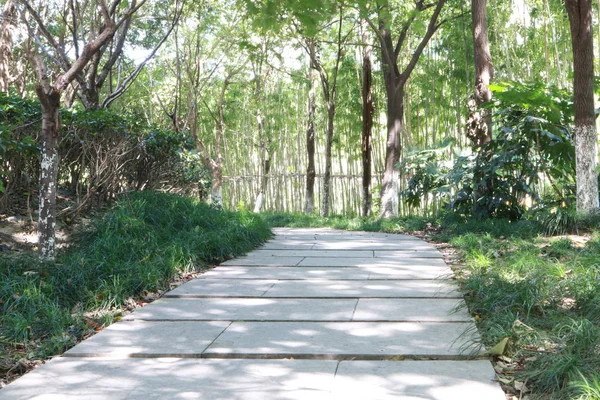 Pasarela Vacía Parque — Foto de Stock