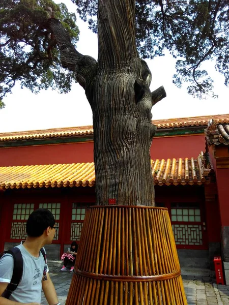 Templo Del Cielo Tailandia — Foto de Stock