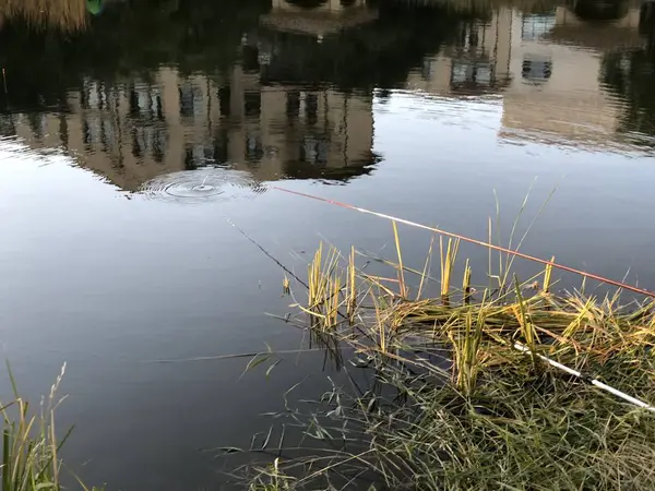 Hermoso Paisaje Con Lago — Foto de Stock