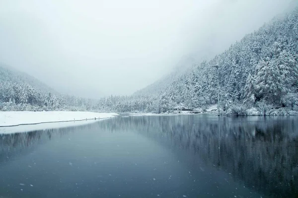 Paisaje Invernal Con Árboles Cubiertos Nieve Bosque — Foto de Stock