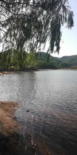 Hermoso Paisaje Del Lago Verano — Foto de Stock