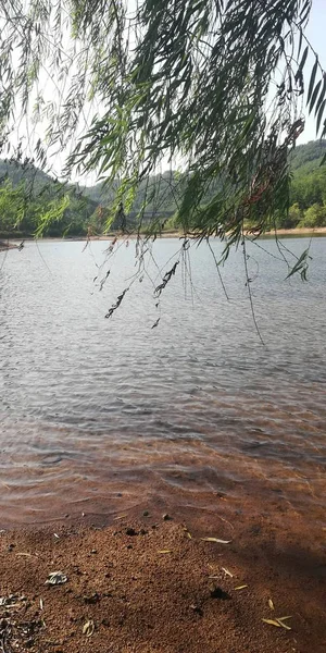 Hermoso Paisaje Con Lago Bosque — Foto de Stock