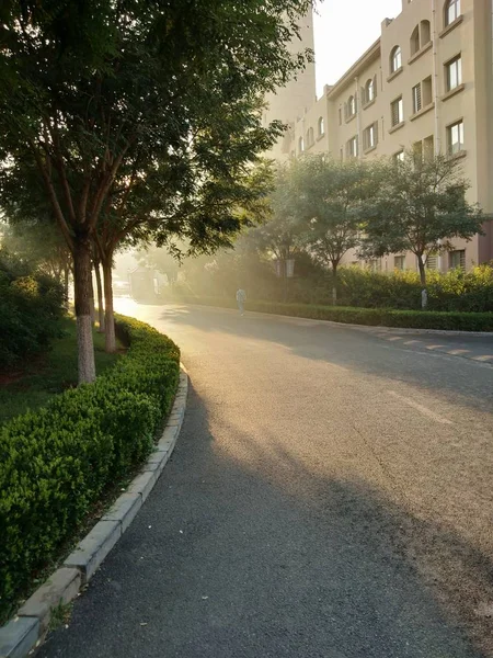 Camino Parque — Foto de Stock