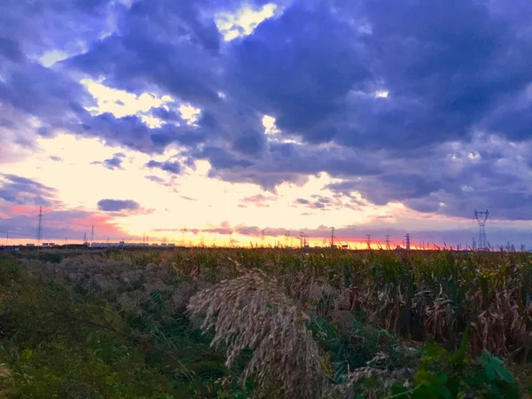 Blick Auf Den Schönen Sonnenuntergang — Stockfoto