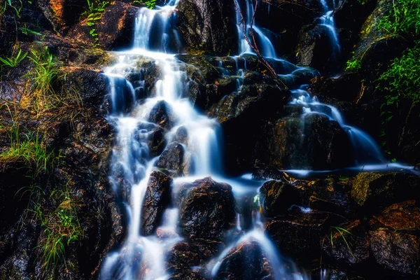 waterfall in forest, nature and river flow