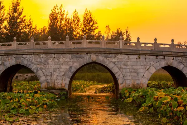 Hermosa Vista Del Puente Parque — Foto de Stock