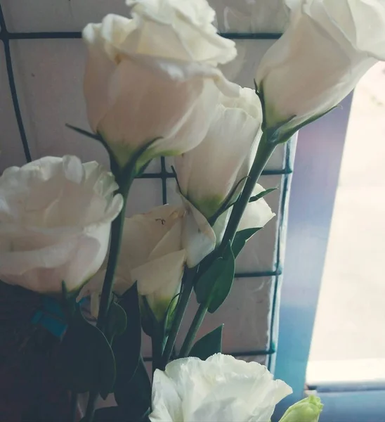 Hermosas Rosas Blancas Sobre Fondo Ramo Rosa Rosa — Foto de Stock