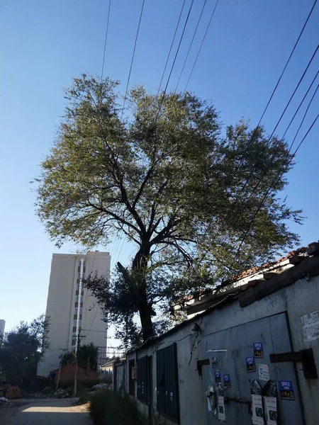 Vista Del Casco Antiguo Ciudad — Foto de Stock