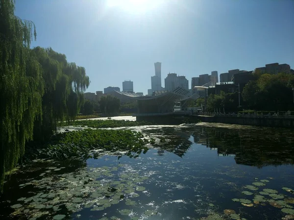 Vista Ciudad Del Parque Por Mañana — Foto de Stock