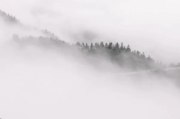 Winterlandschaft Mit Schneebedeckten Bäumen — Stockfoto