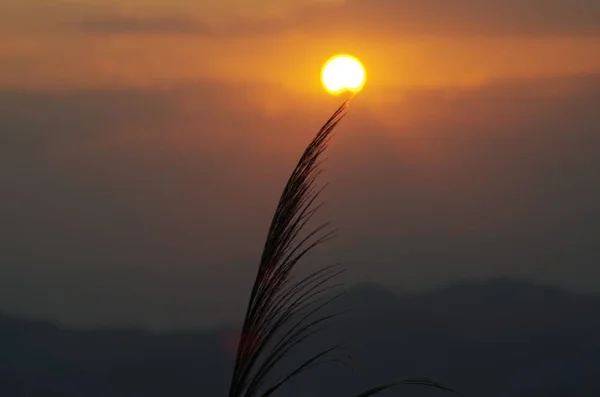 Hermosa Vista Puesta Sol Brillante — Foto de Stock