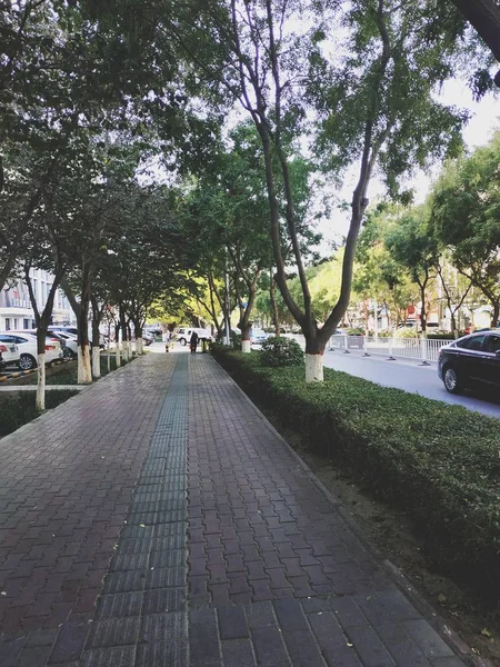 Ciudad Del Parque Verano — Foto de Stock