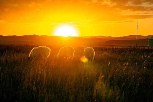 Hermoso Atardecer Las Montañas —  Fotos de Stock