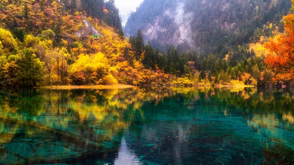 Paisagem Outono Com Lago Outono — Fotografia de Stock