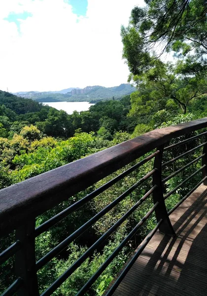 Puente Madera Parque — Foto de Stock