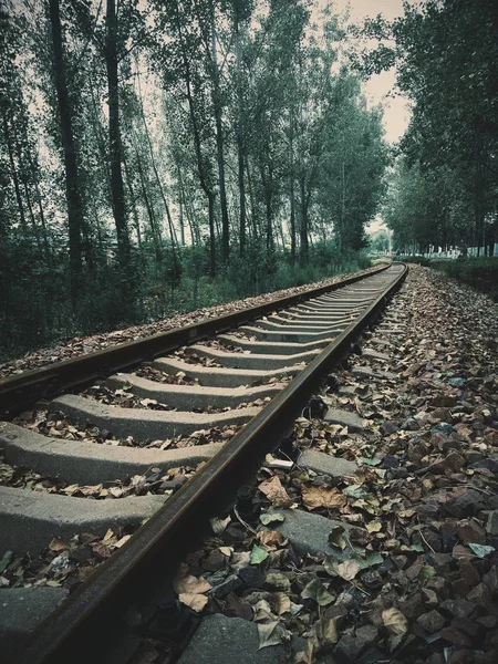 Trilhas Ferroviárias Vazias Perto Cidade — Fotografia de Stock