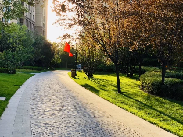 Hermoso Parque Ciudad — Foto de Stock