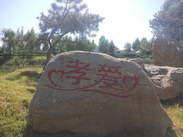 Signo Del Zodiaco Chino Pared — Foto de Stock