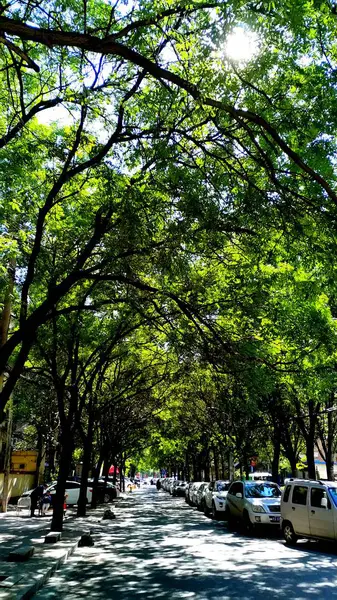 Hermosa Vista Del Parque Ciudad — Foto de Stock