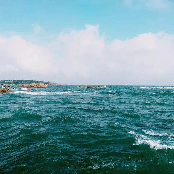 Hermosa Vista Naturaleza Escena — Foto de Stock