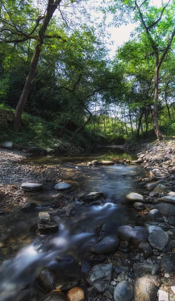 waterfall, river flow in nature, flora