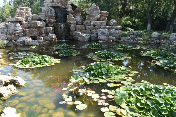 Hermoso Estanque Parque — Foto de Stock