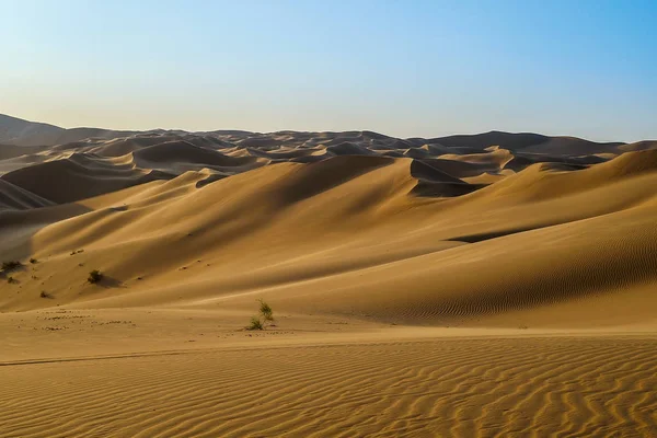 Zandduinen Woestijn — Stockfoto