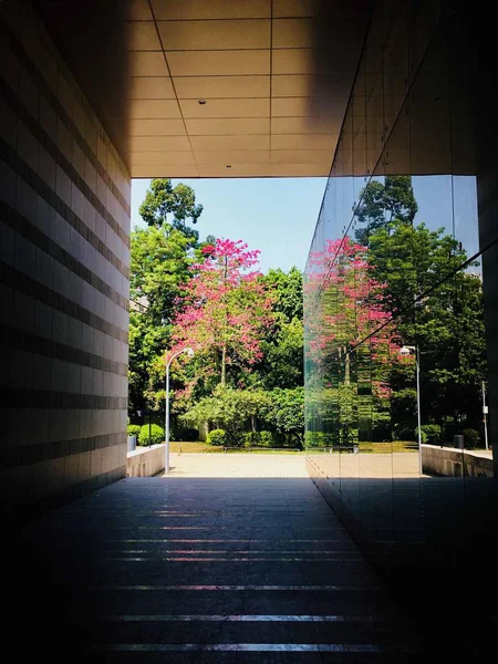 Edificio Moderno Parque — Foto de Stock