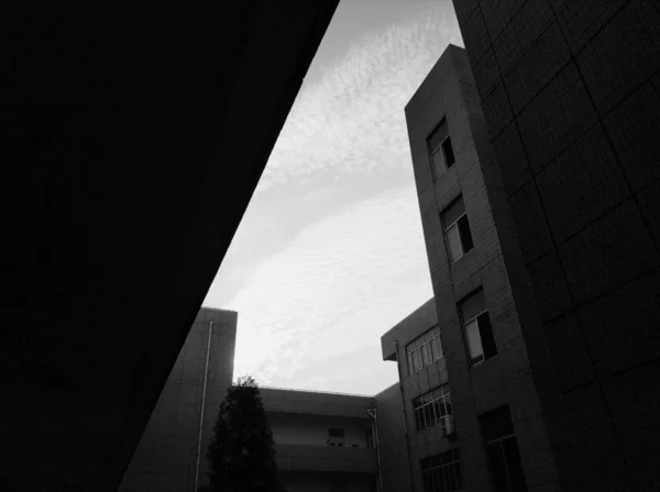 black and white architecture of the building