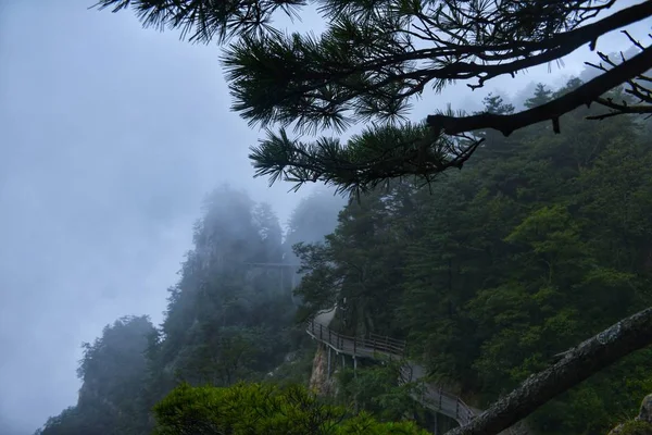 Vista Montaña Bosque — Foto de Stock