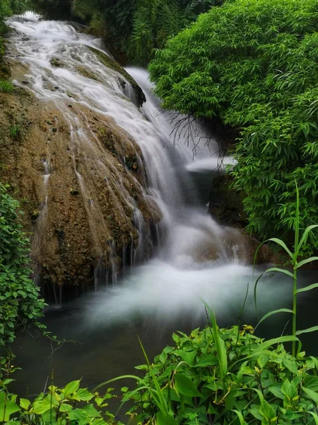 Wodospad Przepływ Rzeki Przyrodzie Flora — Zdjęcie stockowe