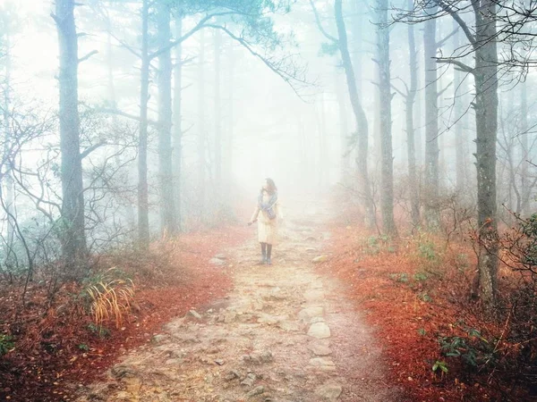 Mladá Žena Kráčející Lese — Stock fotografie